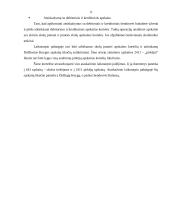 Piniginių lėšų auditas: UAB "Mažylis" 8 puslapis