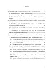 Automobilizacija Europos Sąjungos (ES) ekonominėje erdvėje: tarptautinio verslo plėtros strategijos