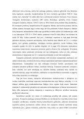 Automobilizacija Europos Sąjungos (ES) ekonominėje erdvėje: tarptautinio verslo plėtros strategijos 13 puslapis