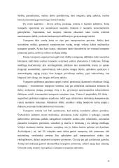 Automobilizacija Europos Sąjungos (ES) ekonominėje erdvėje: tarptautinio verslo plėtros strategijos 14 puslapis