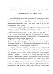 Automobilizacija Europos Sąjungos (ES) ekonominėje erdvėje: tarptautinio verslo plėtros strategijos 4 puslapis