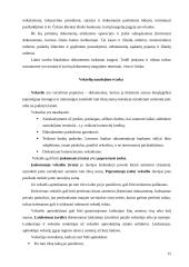 Pinigų ir jų ekvivalentų bankuose judėjimo dokumentavimas 12 puslapis