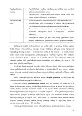 Pinigų ir jų ekvivalentų bankuose judėjimo dokumentavimas 16 puslapis