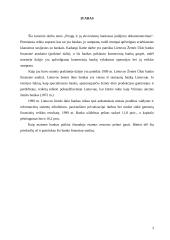 Pinigų ir jų ekvivalentų bankuose judėjimo dokumentavimas 3 puslapis