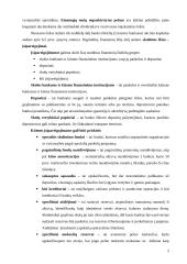 Pinigų ir jų ekvivalentų bankuose judėjimo dokumentavimas 5 puslapis