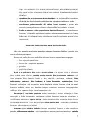 Pinigų ir jų ekvivalentų bankuose judėjimo dokumentavimas 6 puslapis
