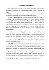 Pinigų ir jų ekvivalentų bankuose judėjimo dokumentavimas 8 puslapis