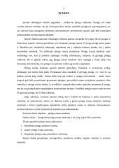 Pinigų srautų ataskaita ir jos vertinimas 2 puslapis