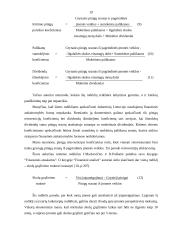 Pinigų srautų ataskaita ir jos vertinimas 18 puslapis