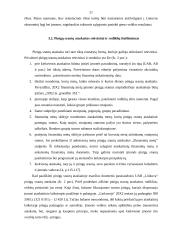 Pinigų srautų ataskaita ir jos vertinimas 20 puslapis