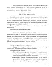 Balansas įmonėje 12 puslapis