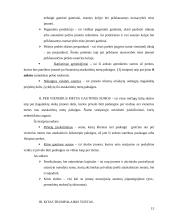 Balansas įmonėje 13 puslapis