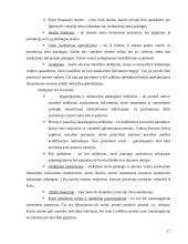 Balansas įmonėje 17 puslapis