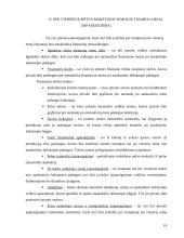 Balansas įmonėje 18 puslapis