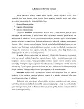 Balansas įmonėje 5 puslapis