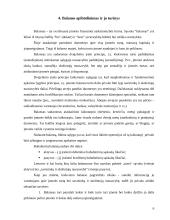 Balansas įmonėje 6 puslapis