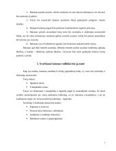 Balansas įmonėje 7 puslapis