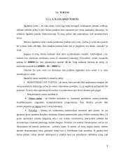 Balansas įmonėje 8 puslapis