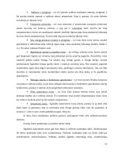 Balansas įmonėje 10 puslapis