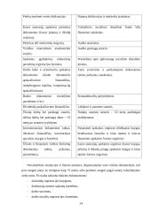Įmonės apskaitos dokumentų valdymas 14 puslapis