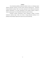 Įmonės apskaitos dokumentų valdymas 3 puslapis
