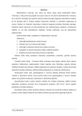 Bankininkystė Lietuvoje 2 puslapis