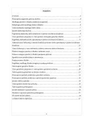 Planuojamos gaminti produkcijos pelningumo ekonominis pagrindimas: UAB "Skrajūnė" 2 puslapis