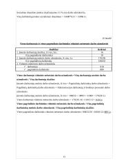 Planuojamos gaminti produkcijos pelningumo ekonominis pagrindimas: UAB "Skrajūnė" 13 puslapis