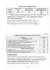 Planuojamos gaminti produkcijos pelningumo ekonominis pagrindimas: UAB "Skrajūnė" 18 puslapis
