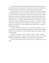 Bankrotas ir bankroto priežastys 12 puslapis