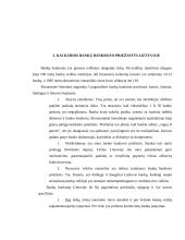 Bankrotas ir bankroto priežastys 13 puslapis