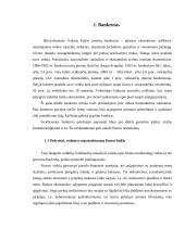 Bankrotas ir bankroto priežastys 3 puslapis