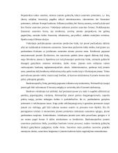 Bankrotas ir bankroto priežastys 7 puslapis