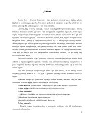 Plungės miesto gyventojų požiūris į organų donorystę 3 puslapis