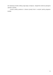 Bankų vaidmuo ir nauda rinkos ekonomikoje 13 puslapis