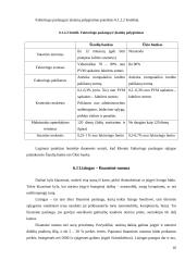 Bankų vaidmuo ir nauda rinkos ekonomikoje 16 puslapis