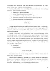 Bankų vaidmuo ir nauda rinkos ekonomikoje 9 puslapis