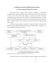 Pokyčiai Europos Sąjungos (ES) darbo rinkoje 2000-2004 metais 1 puslapis