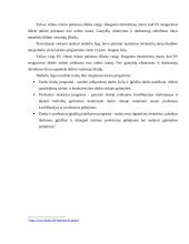 Pokyčiai Europos Sąjungos (ES) darbo rinkoje 2000-2004 metais 20 puslapis