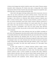 Pokyčiai Europos Sąjungos (ES) darbo rinkoje 2000-2004 metais 3 puslapis