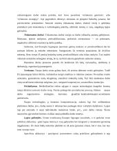 Pokyčiai Europos Sąjungos (ES) darbo rinkoje 2000-2004 metais 7 puslapis