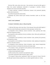 Baudžiamosios – teisinės kovos su kompiuteriniais nusikaltimais priemonės tarptautiniu mastu 15 puslapis