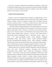 Baudžiamosios – teisinės kovos su kompiuteriniais nusikaltimais priemonės tarptautiniu mastu 19 puslapis