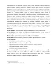 Pokomunistinė transformacija Lietuvoje: dvinarės vykdomosios valdžios susiformavimas 3 puslapis