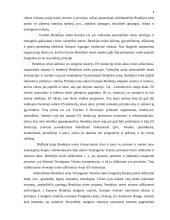 Bendrijos teisė 4 puslapis