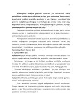Politinė lyderystė 13 puslapis