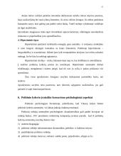 Politinė lyderystė 15 puslapis