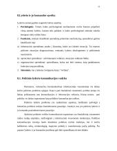 Politinė lyderystė 19 puslapis