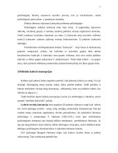Politinė lyderystė 6 puslapis
