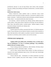 Politinė lyderystė 9 puslapis